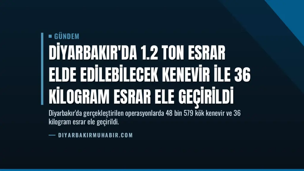 Diyarbakır'da 1.2 Ton Esrar Elde Edilebilecek Kenevir İle 36 Kilogram Esrar Ele Geçirildi