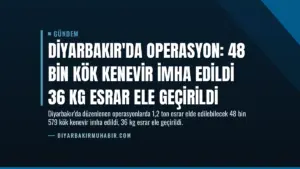 Diyarbakır’da Operasyon: 48 Bin Kök Kenevir İmha Edildi 36 Kg Esrar Ele Geçirildi