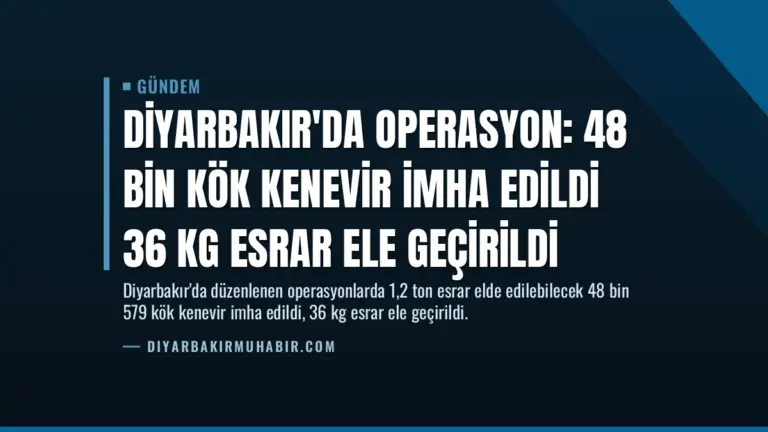 Diyarbakır’da Operasyon: 48 Bin Kök Kenevir İmha Edildi 36 Kg Esrar Ele Geçirildi