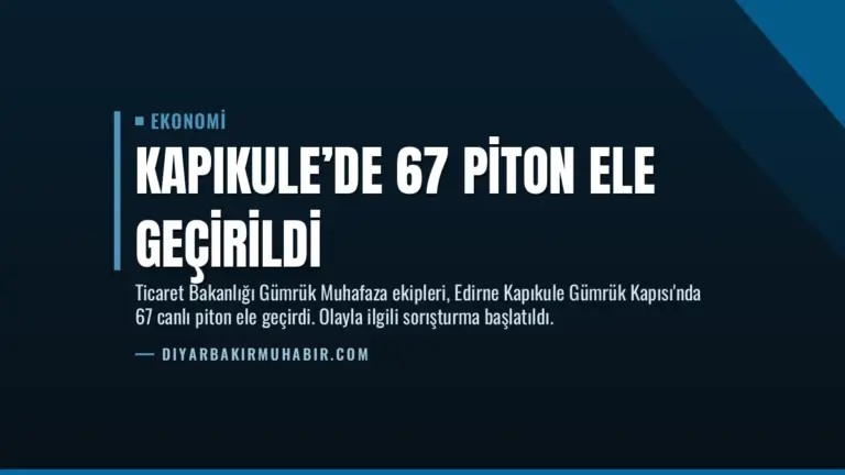 Kapıkule’de 67 Piton Ele Geçirildi