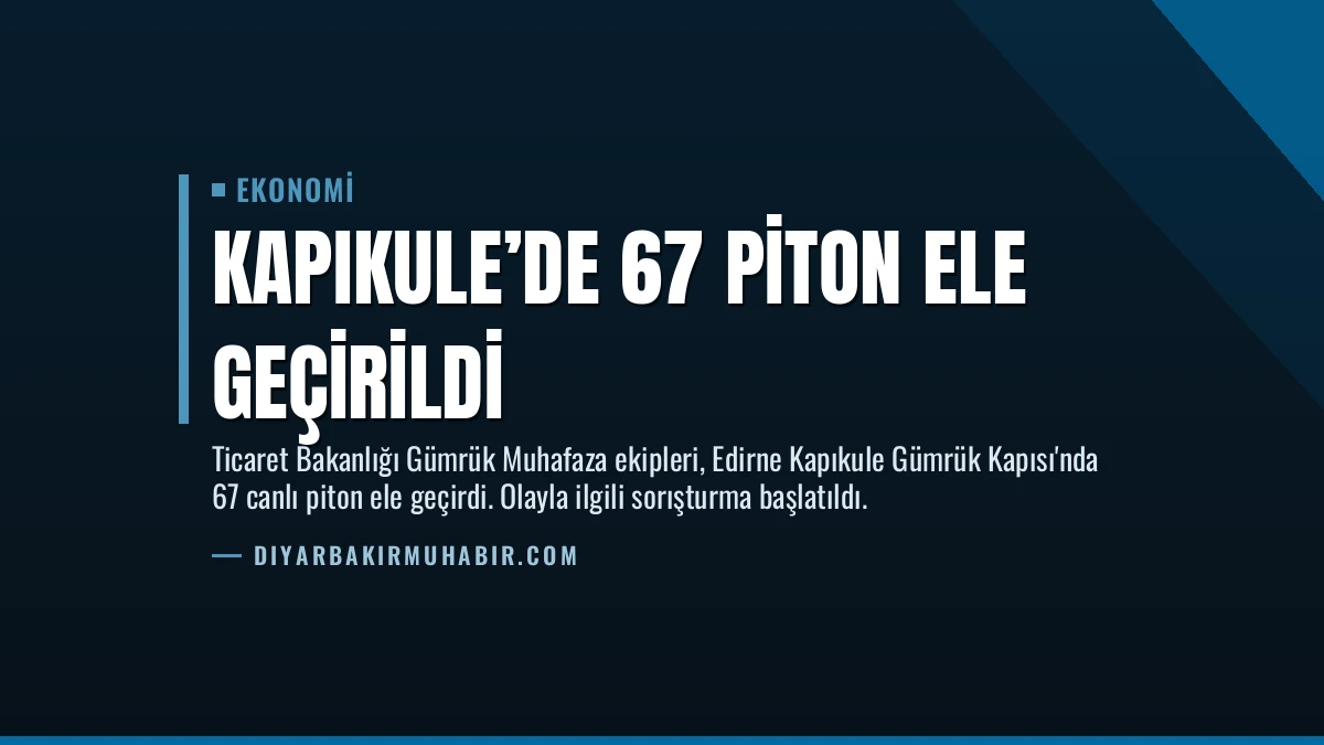 Kapıkule’de 67 Piton Ele Geçirildi