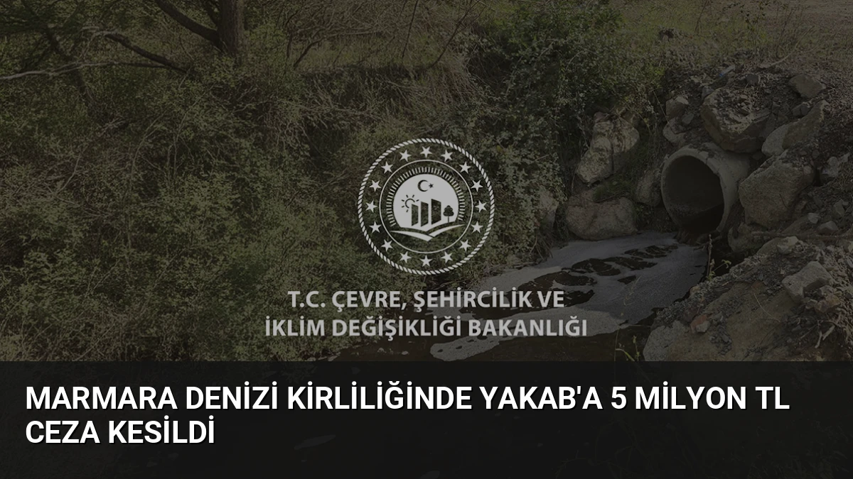 Marmara Denizi Kirliliğinde YAKAB’a 5 Milyon TL Ceza Kesildi